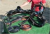 Draft horse show harness with collar and hames