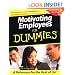 Motivating Employees For Dummies