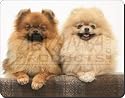 POMERANIAN DOG GIFTS Mouse Mat
