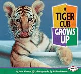 A Tiger Cub Grows Up (Baby Animals)