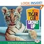 A Tiger Cub Grows Up (Baby Animals)
