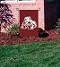 bulldog47 - Mississippi State Bulldogs GardenWindow Flag