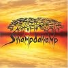 Swampdawamp
