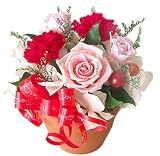 �v���U�[�u�h�t�����[�u�T���N�X�E�}���v