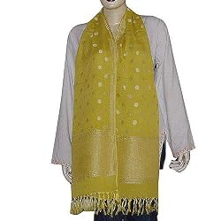 Womens Silk Scarf in Chiffon Fabric Gift for Her 22 x 72 inches (srfch035)