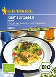 Keimsprossen Bio Radies