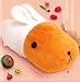 Capybara San Super DX 2011 New Year Style Plush (13") - Brown Color. Imported from Japan. Capybara San Super DX 2011 New Year Style Plush (13") - Brown Color. Imported from Japan.