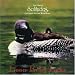 Loon Echo Lake
