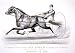 The celebrated trotting Stallion Jay Gould, the property of H.N. Smith, Esq: Fashion Stud Farm, Trenton, N.J. (Reprint measured in inches 24 x 17)