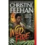 Wild Fire (Leopard)