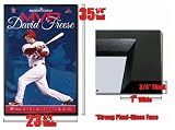 Framed St Louis Cardinals MVP 2011 World Series David Freese Poster 3785
