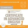 Cambridge Certificate in Advanced English 1: For Updated Exam from December 2008: Official Examination Papers from University of Cambridge ESOL Examinations: Paper 1 (Cae Practice Tests)