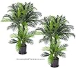 TWO Sets of Pre-potted 4' Triple Phoenix Artificial Tropical Palm Trees