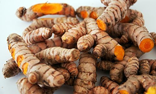 Turmeric Root: Non-GMO, Organic, Fresh Whole Raw 1 Lb. Lots