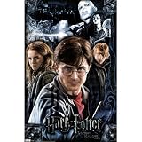 Harry Potter and the Deathly Hallows Part I Movie Group Poster Print 22x34 Poster Print, 22x34 51w9g0ZYjZL. SL160 Harry Potter and the Deathly Hallows Part I Movie Group Poster Print 22x34 Poster Print, 22x34