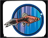Mouse Pad with fauna, xiphophorus, water, nature, fishes, maculatus, fish, underwater, submarine