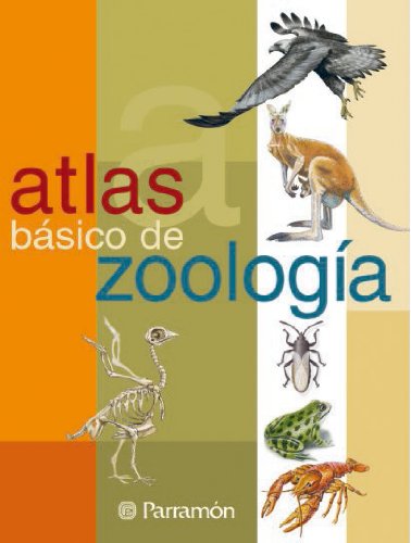 Atlas Basico de Zoologia / Basic Atlas of Zoology (Spanish Edition)