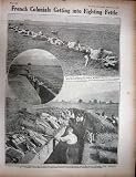 WW1 1916 Pets Monkey Nurses Badcock Algeria Soldiers