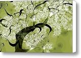 Wishing Tree Canvas Print / Canvas Art - Artist Anastasiya Malakhova