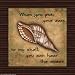 Tuscan Shellsa When You Put Your Ears by Debbie Dewitt Fine Art Print Poster