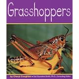 Grasshoppers (Insects)