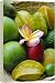Orchid and fruit - Canvas Print 20x16 (51x40cm) by Robert Harding