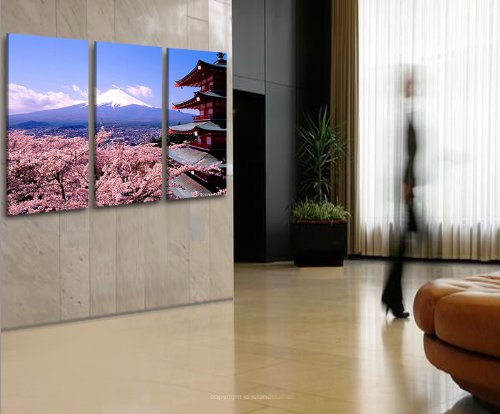http://ecx.images-amazon.com/images/I/51wANYd0qYL.jpg