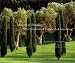 Third Party New : Mirrors of Paradise: The Gardens of Fernando Caruncho