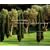 Mirrors of Paradise: The Gardens of Fernando Caruncho