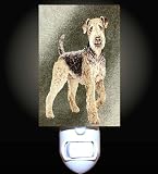 Review Decoration Sensation  / Airedale Dog Decorative Night Light