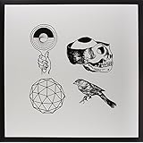 With Light & With Love