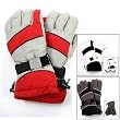 Women's Thinsulate (TM) Lined Waterproof Snowboard Glove