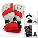 Womens Thinsulate (TM) Lined Waterproof Snowboard Glove