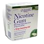 Equate - Nicotine Gum Polacrilex - Stop Smoking Aid, Mint Flavor 2 mg, 100 Pieces