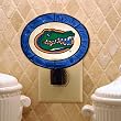 Florida - Art Glass Nightlight
