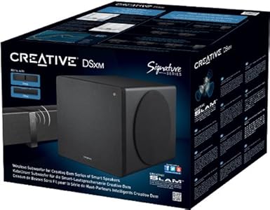 Discount  Creative DSxm Signature Series tooth Wireless Smart Modular Subwoofer