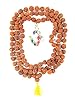 Yoga Mala Rudraksha Om Navratna Pendant Meditation Spiritual Japa Mala of 108 Beads