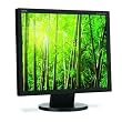 NEC AccuSync AS191-BK 19-Inch LCD Monitor - Black