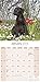 Black Labrador Retriever Puppies Calendar - Only Dog Breed Black Labrador Retriever Puppies Calendar - 2016 Wall calendars - Dog Calendars - Monthly Wall Calendar by Avonside
