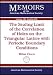 The Scaling Limit of the Correlation of Holes on the Triangular Lattice With Periodic...