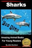 Sharks - For Kids - Amazing Animal Books for Young Readers