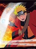 NARUTO-�Ŏَ�-������(A) 2011ǯ ��������