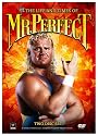 The Life and Times of Mr. Perfect