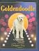 Goldendoodle (Designer Dog)
