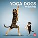 Yoga Dogs & Yoga Puppies 2012 Square 12x12 Wall Calendar by BrownTrout Publishers Inc