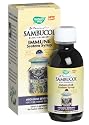 Nature's Way Sambucus, Immune System Formula, 4 Fluid Ounces (120 ml)