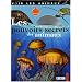 Les pouvoirs secrets des animaux (1DVD)