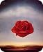 Artist Salvador Dali Fine Art MOUSE PAD Rose Meditative