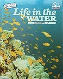 Life in the water