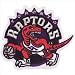 Toronto Raptors Logo Patch